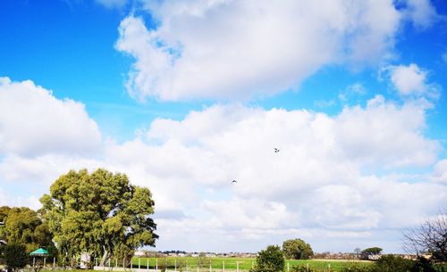 Scenic view of trees and buildings against sky