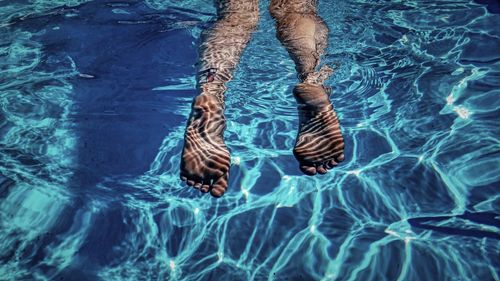 Low section of person in swimming pool