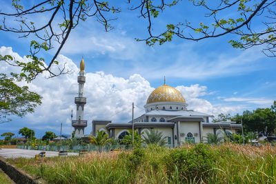 Plants growing outside building against sky