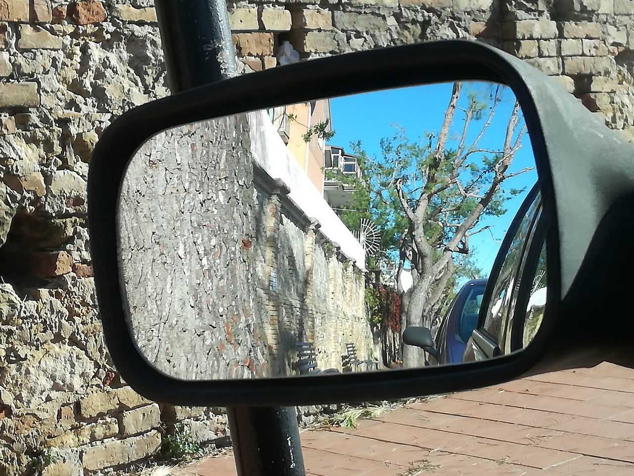 REFLECTION OF TREE ON SIDE-VIEW MIRROR AGAINST SKY