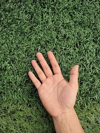 Shadow of hand on grass