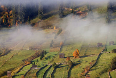 Scenic view of field during autumn