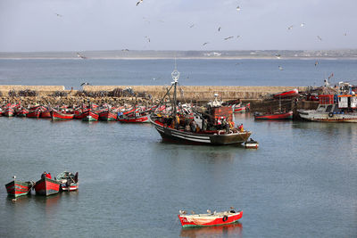 Port with lots of gulls in el jadida, morocco