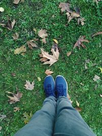 Low section of man standing over dry leaves on grass