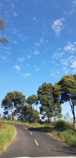 Empty road by trees against blue sky