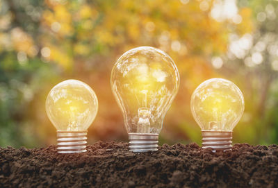 Digital composite image of illuminated light bulbs in mud
