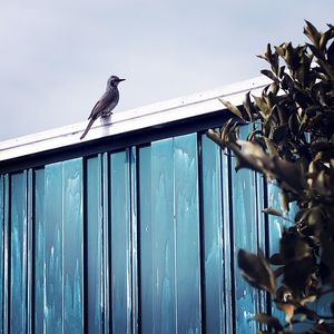 Bird perching on shore