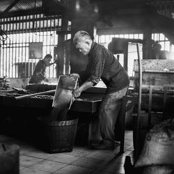 People working in kitchen