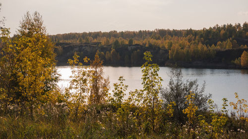 Scenic view of lake by trees against sky