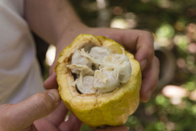 Close-up of person holding ice cream