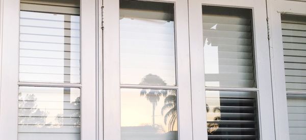 Close-up of window reflecting sunset and palm tree 