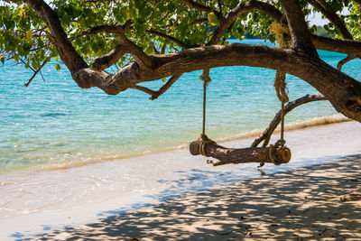 View of swing on beach