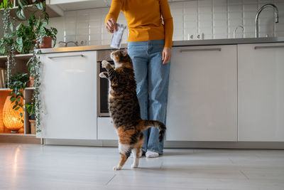 Rear view of man walking on floor