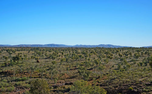 Scenic view of field against clear blue sky