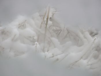 Close-up of snow