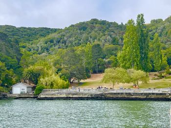 Scenic view of lake by trees against sky