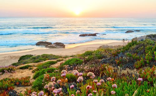 Scenic view of sea against sky during sunset