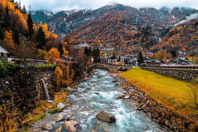 Scenic view of river amidst trees during autumn