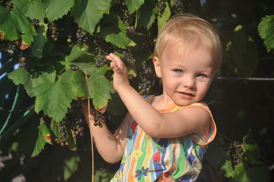 Portrait of cute girl plucking grapes from plant