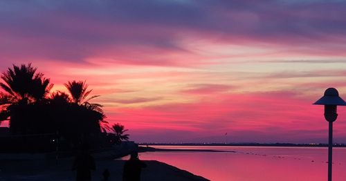 Silhouette trees on beach against sky during sunset