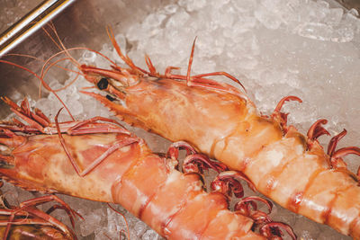 High angle view of prawns