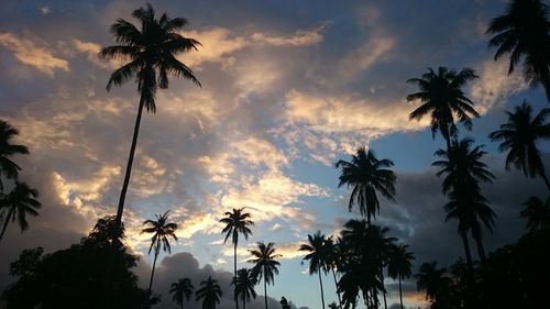 Low angle view of silhouette palm trees against sky during sunset