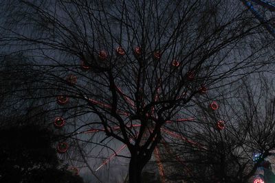 Low angle view of bare tree against sky at night
