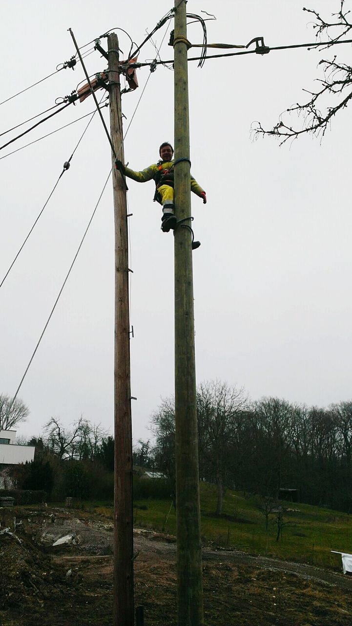 animal themes, bird, clear sky, wildlife, animals in the wild, one animal, perching, tree, low angle view, two animals, nature, power line, full length, electricity pylon, sky, field, outdoors, day, fence, grass