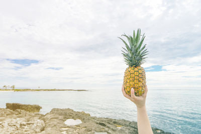 Cropped hand holding pineapple against sea