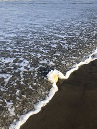 Cantaloupe in pacific ocean