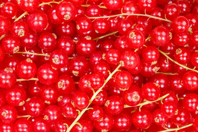 Full frame shot of red berries