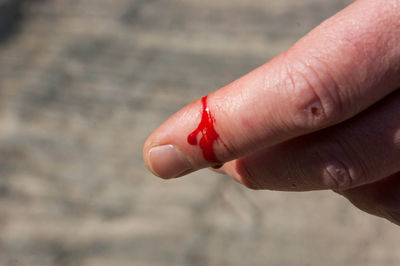 Close-up of hand holding red leaf