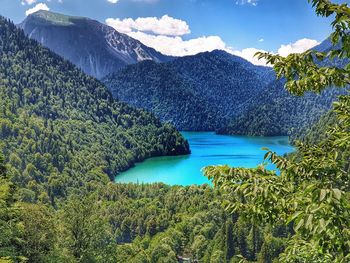 Scenic view of lake in forest against sky