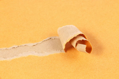 Close-up of cake against white background