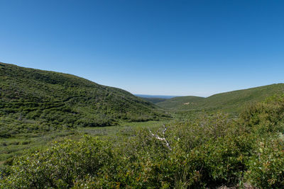 Scenic view of landscape against clear blue sky