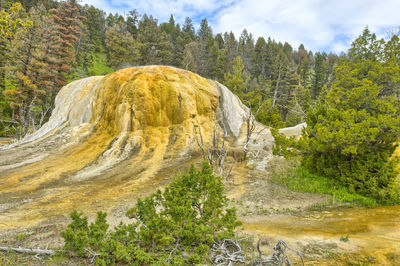 Scenic view of landscape at mammoth hot springs