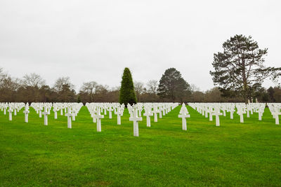 cemetery