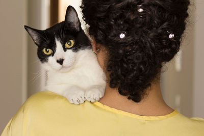 Portrait of cat relaxing at home