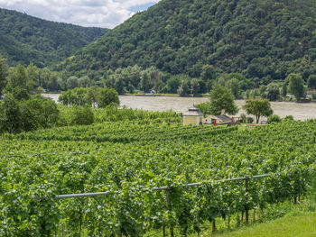 Dürnstein in austria