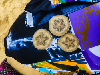 High angle view of sea urchin with star design