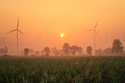 Scenic view of field against orange sky