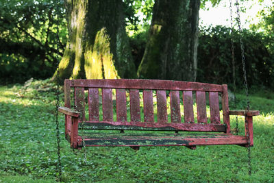 Abandoned swing against trees in park