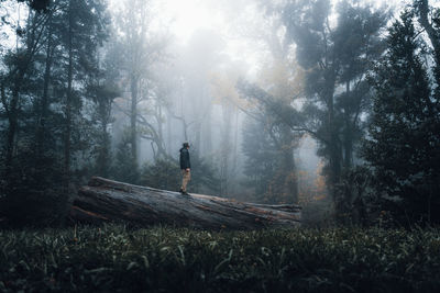 Man standing on field in forest