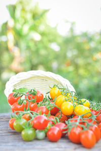 Close-up of tomatoes