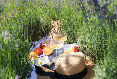 Summer picnic on a lavender field with champagne glasses and fruits