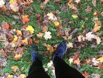 Low section of person standing on field during autumn
