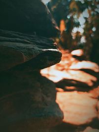 Close-up of rock formation in water