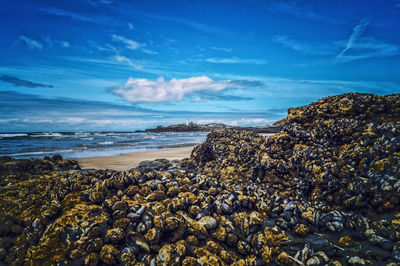 Scenic view of beach against sky