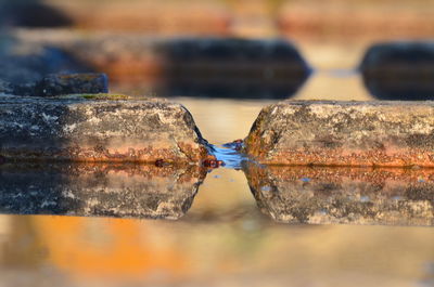 Close-up of gel amidst stone