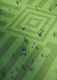 High angle view of people on green land